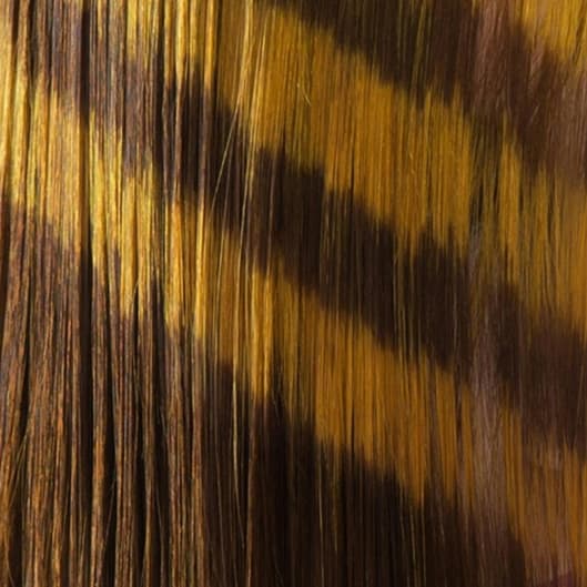 Silk Revival at Four Roots Beauty Collective in rock island, IL